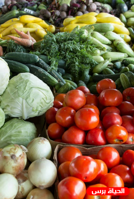 اسعار الخضروات واللحوم في قطاع غزة اليوم الاربعاء